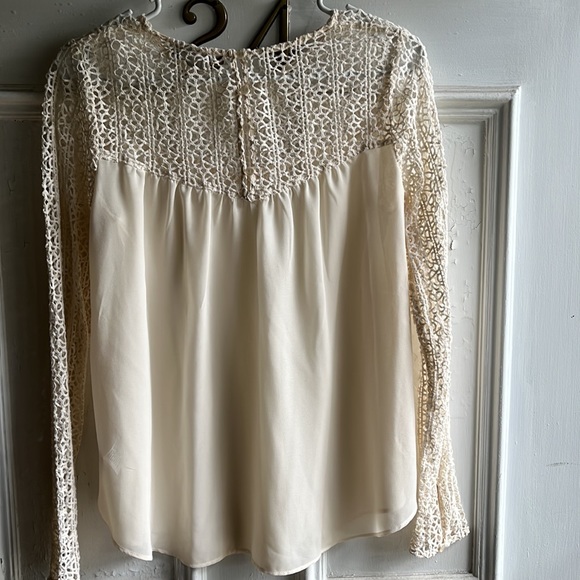 Sheer Blouse - Picture 5 of 6